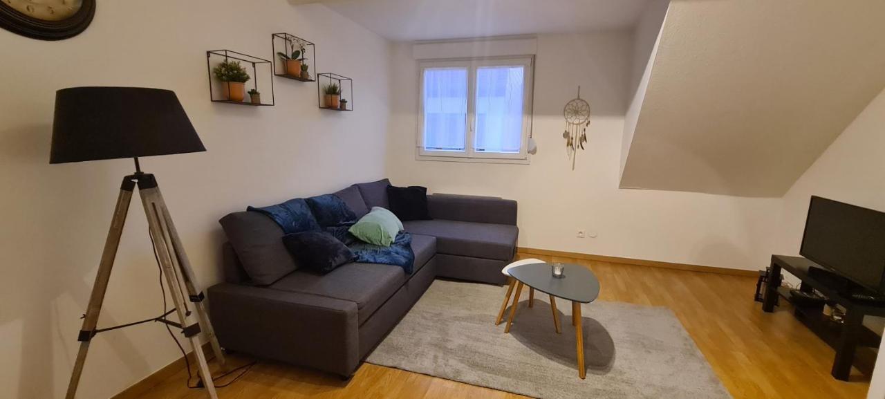 Apartmán Duplex Au Centre Avec Parking - L'Etoile Obernai Exteriér fotografie